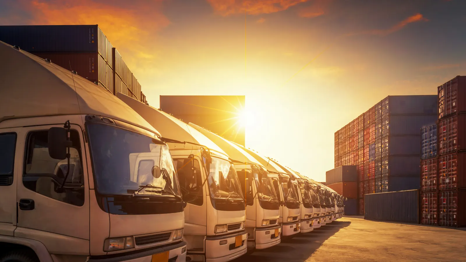 How to Find International Distributors for Your Product
